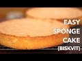 Easy European Sponge Cake Recipe  (Biskvit)  - ONLY 4 Ingredients!