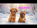 I Made it SNOW for my Dogs! ❄️
