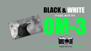 BLACK & WHITE MAGIC with the OM 3