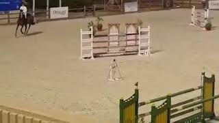 الفارس ناصر الشواف وفله كأس شركة Deel في الرياض 2018