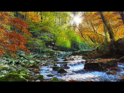Deep Sleep with Native American Flute | Clear Negativity, Heal Emotions, Calm the Nervous System