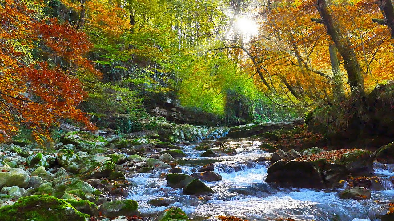 Deep Sleep with Native American Flute | Clear Negativity, Heal Emotions, Calm the Nervous System