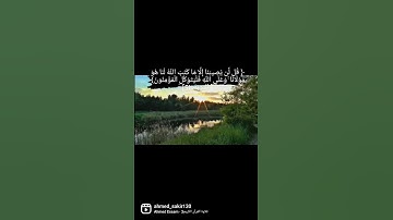 سورة التوبة #قران_كريم #قرآن #تلاوة_خاشعة #تلاوات_خاشعة #سورة_التوبة
