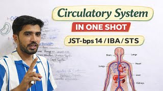 Circulatory System🩸| One Shot Quick Complete Guide | JST/MDCAT/NEET 