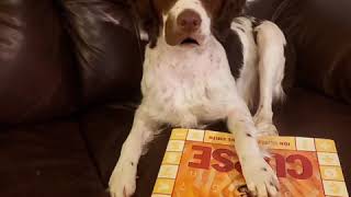 Famous Reading with Caddis, Math Curse, Part 1 Net Worth