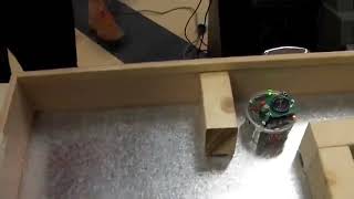 Famous e-puck obstacle avoidance Wealth