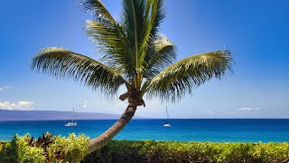 Calm Sea Reflections – Uplifting Tropical Bossa Nova that Balances Peace and Positivity