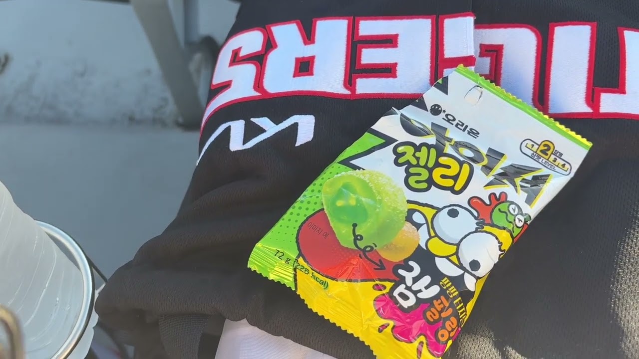 Learn Korean with me! My solo Baseball Vlog in Busan in Korea 🇰🇷