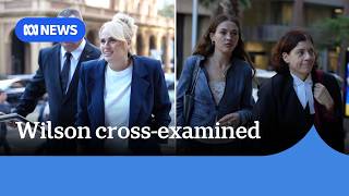 Rebel Wilson Says Social Media Posts Are True During Defamation Trial Crossexamination  Abc News