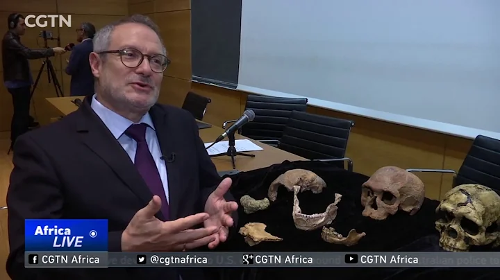 Fossil remains found in Morocco are 100,000 years older than other Homo sapien remains