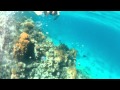 Mahmaya beach 2015 hurghada snorkeling