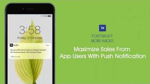Maximize Your Sales From App Users With Push Notification