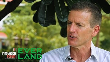 Deforestation: how REDD+ projects help stop carbon can-kicking