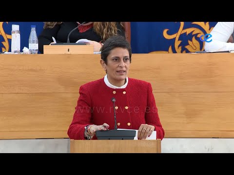 Chandiramani afea al MDyC que no acompañe sus alegaciones con alternativas