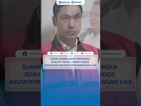 Suami Sandra Dewi Tersangka Korupsi Timah, Harvey Moeis Akomodir Kegiatan Pertambangan Liar