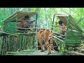 build 2 small villa bamboo house hiding tiger in jungle