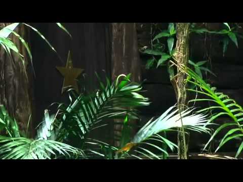 I'm a Celebrity Get Me Out of Here 2011 Final S11E...
