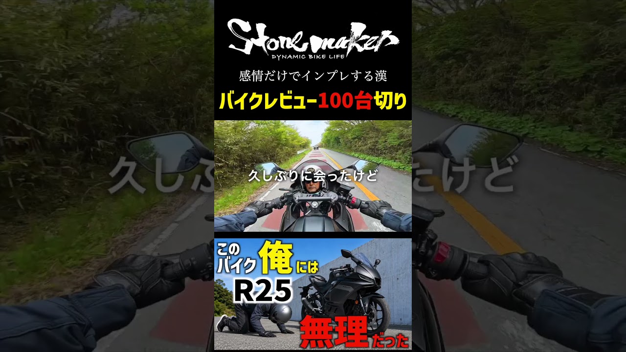 このバイク 俺には無理だった 【新型 YZF - R25】