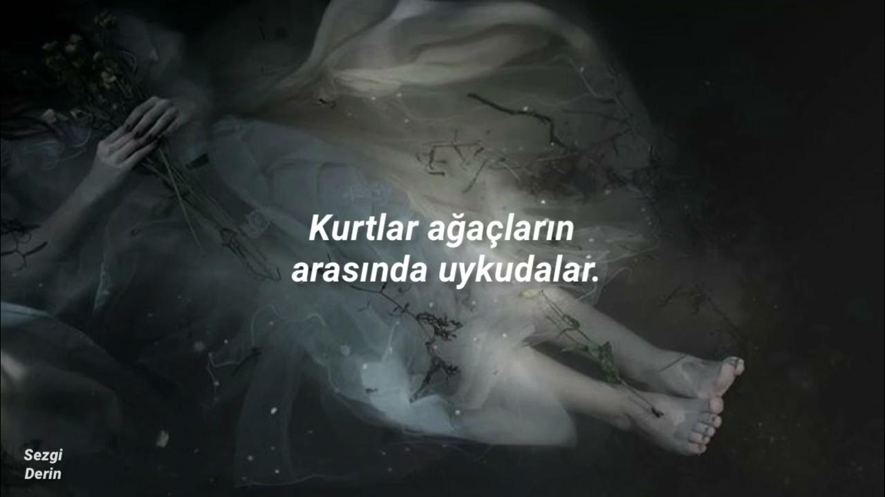 Ashley Serena - Lullaby of Woe (Türkçe çeviri) Ashley Serena - Lullaby of Woe (Türkçe çeviri)
