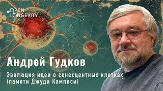Андрей Гудков: Эволюция идеи о сенесцентных клетках