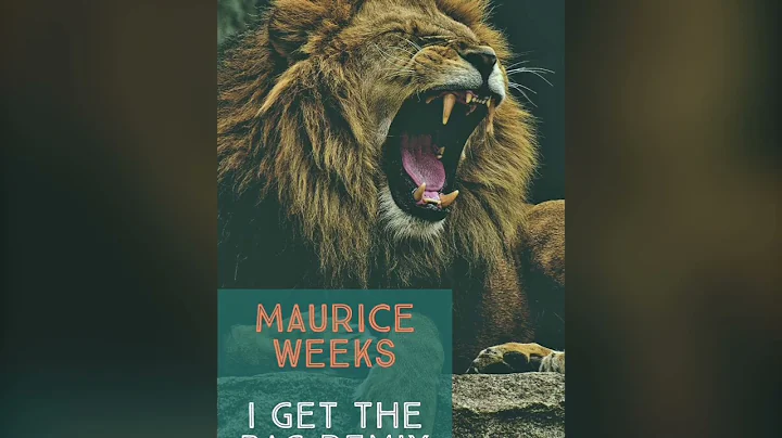 @Maurice Weeks - I Get the Bag Remix