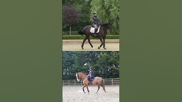 Ever tried “the zigzag” with your horse?