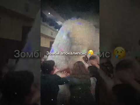 Мишка Бони Темиртау. Ростовые куклы. Аниматоры. Зайка, Котик, Тедди, Панда, Бурый медведь
