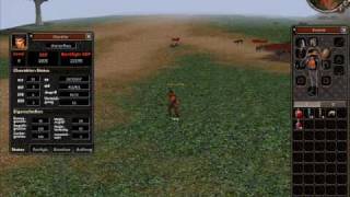 metin2.de yang hack amkira