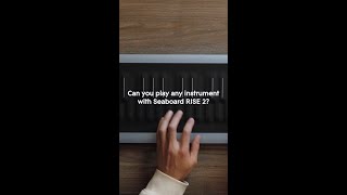 Playing the Flute on Seaboard RISE 2 🪈