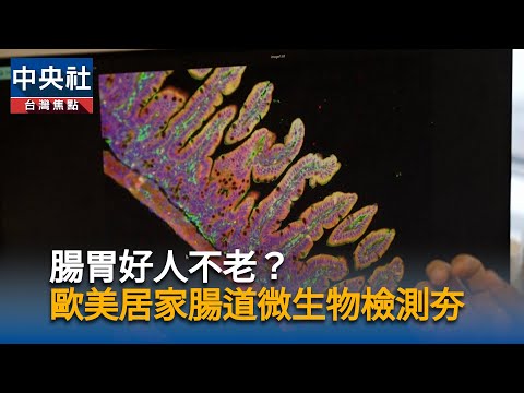 腸胃好人不老?歐美養生當道 居家腸道微生物檢測掀熱潮