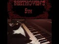 Cat Plays Beethoven&#39;s 5th   #shorts #shortsfunny