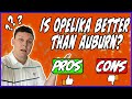 Pros and Cons of Living in Opelika Alabama