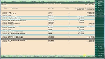 17. Hiding / Unhiding and Remove lines in Tally | By Ur