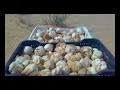 Bni Guil Bouarfa قصيدة بني كيل Bni Guil Bouarfa قصيدة بني كيل