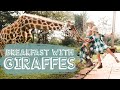 BREAKFAST WITH GIRAFFES!