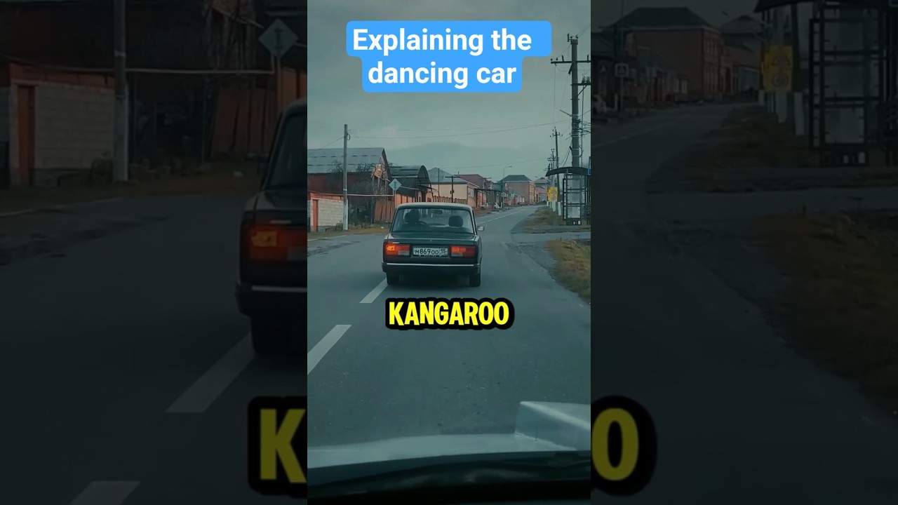 Explaining the dancing car video #shorts #cat
