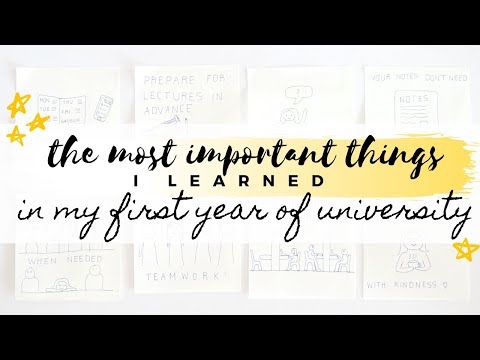 The most important things I learned in my first year of university | studytee