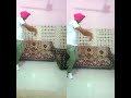 Diljit dosanjh  new song bhangra  boy