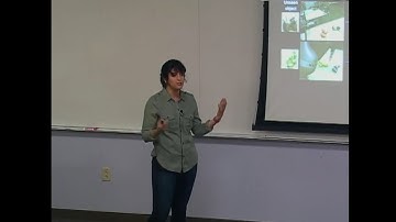 Sim2Real Viewpoint Invariant Visual Servoing by Recurrent Control (UC Berkeley BAIR/BDD 04/27/2018)