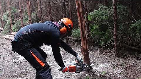 Lantra Chainsaw Course - Sean Duffy Basic Felling