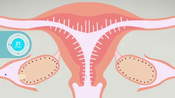 Quelle est la relation entre ovaire et ovule ?