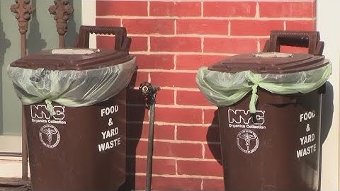 Nearly 3,600 composting tickets issued in NYC in just 2 weeks: officials