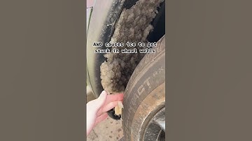 STARTING TO HATE MY TESLA