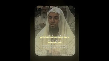 سورة يوسف الآية (80-83) - عبدالرحيم القاوش