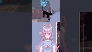 die Flug-Hörnchen-Katze #neko #vtuber #fyp #german #twitch #littlekittybigcity  #vtuberclips