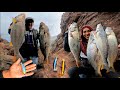 Full spinning en peñas rocosas | Pesca increíble de CORVINAS Gigantes con efectivos vinilos