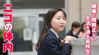 【はたらく細胞】芦田愛菜の体内映像が解禁！佐藤健、松本若菜、仲里依紗ら“細胞”たちが大暴れ！？　映画『はたらく細胞』特別映像