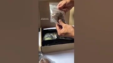 Craving Satisfied Drip And Bites TikTok MELLYN 