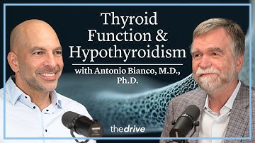 373 – Thyroid function & hypothyroidism: how new approaches are transforming care