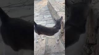 Кипр Айя-Напа июль 2021